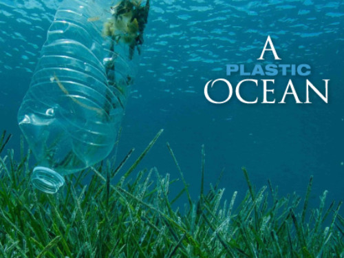 A Plastic Ocean